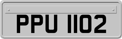PPU1102