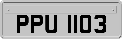 PPU1103