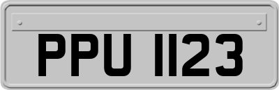 PPU1123