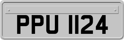 PPU1124