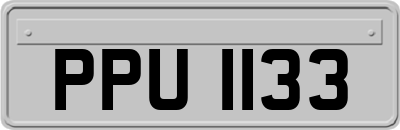 PPU1133
