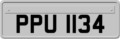 PPU1134