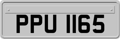PPU1165