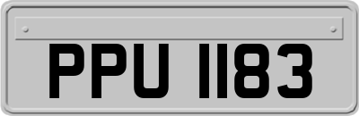 PPU1183