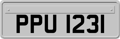 PPU1231