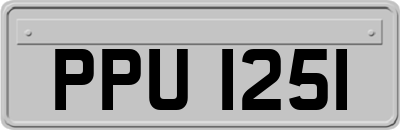 PPU1251