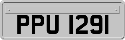 PPU1291