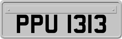 PPU1313