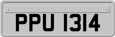 PPU1314