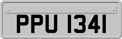 PPU1341