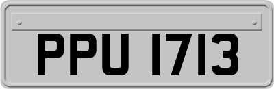 PPU1713