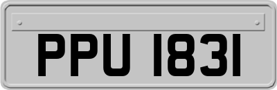 PPU1831