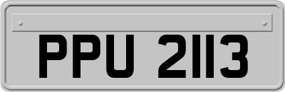 PPU2113