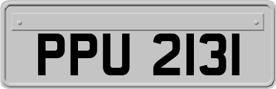 PPU2131