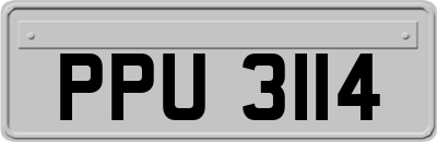 PPU3114