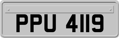 PPU4119