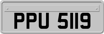PPU5119