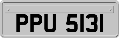 PPU5131