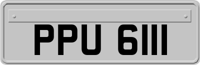 PPU6111