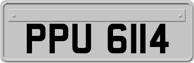 PPU6114