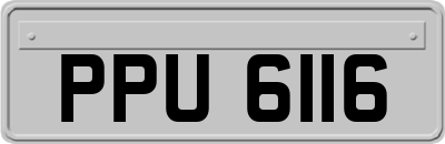 PPU6116