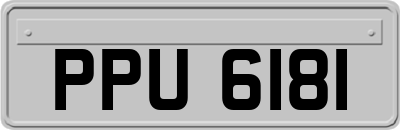 PPU6181