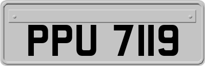 PPU7119