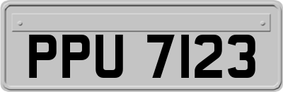 PPU7123