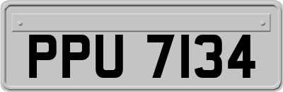 PPU7134