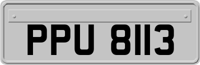 PPU8113