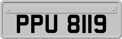 PPU8119