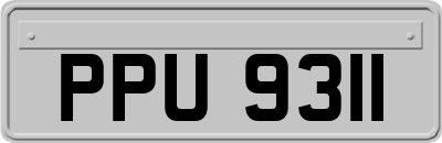 PPU9311