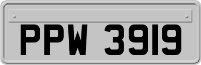 PPW3919