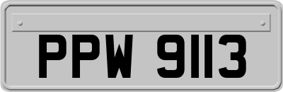 PPW9113