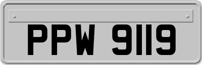 PPW9119