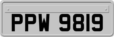 PPW9819