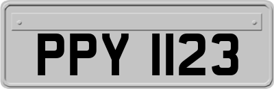PPY1123