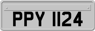PPY1124