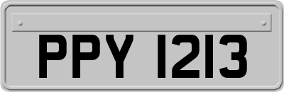 PPY1213