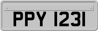 PPY1231