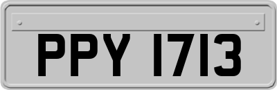 PPY1713