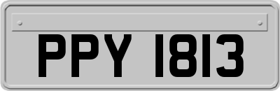 PPY1813