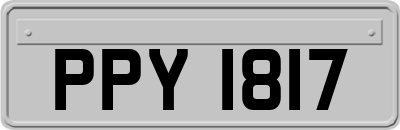 PPY1817