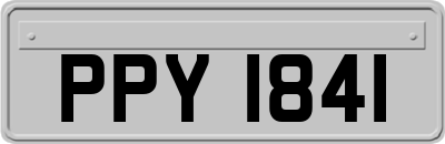 PPY1841
