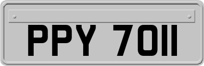PPY7011