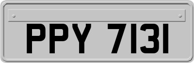 PPY7131