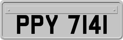 PPY7141