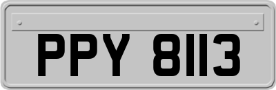 PPY8113