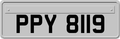 PPY8119