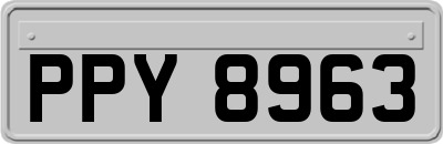PPY8963